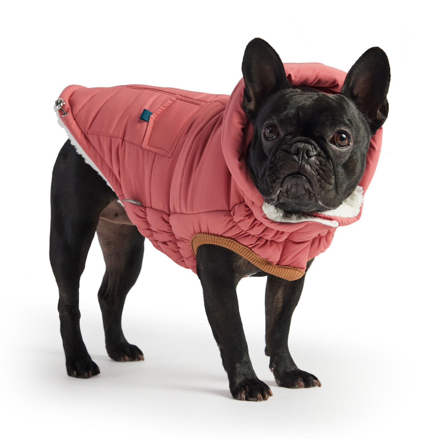 Super Puff Parka -PINK