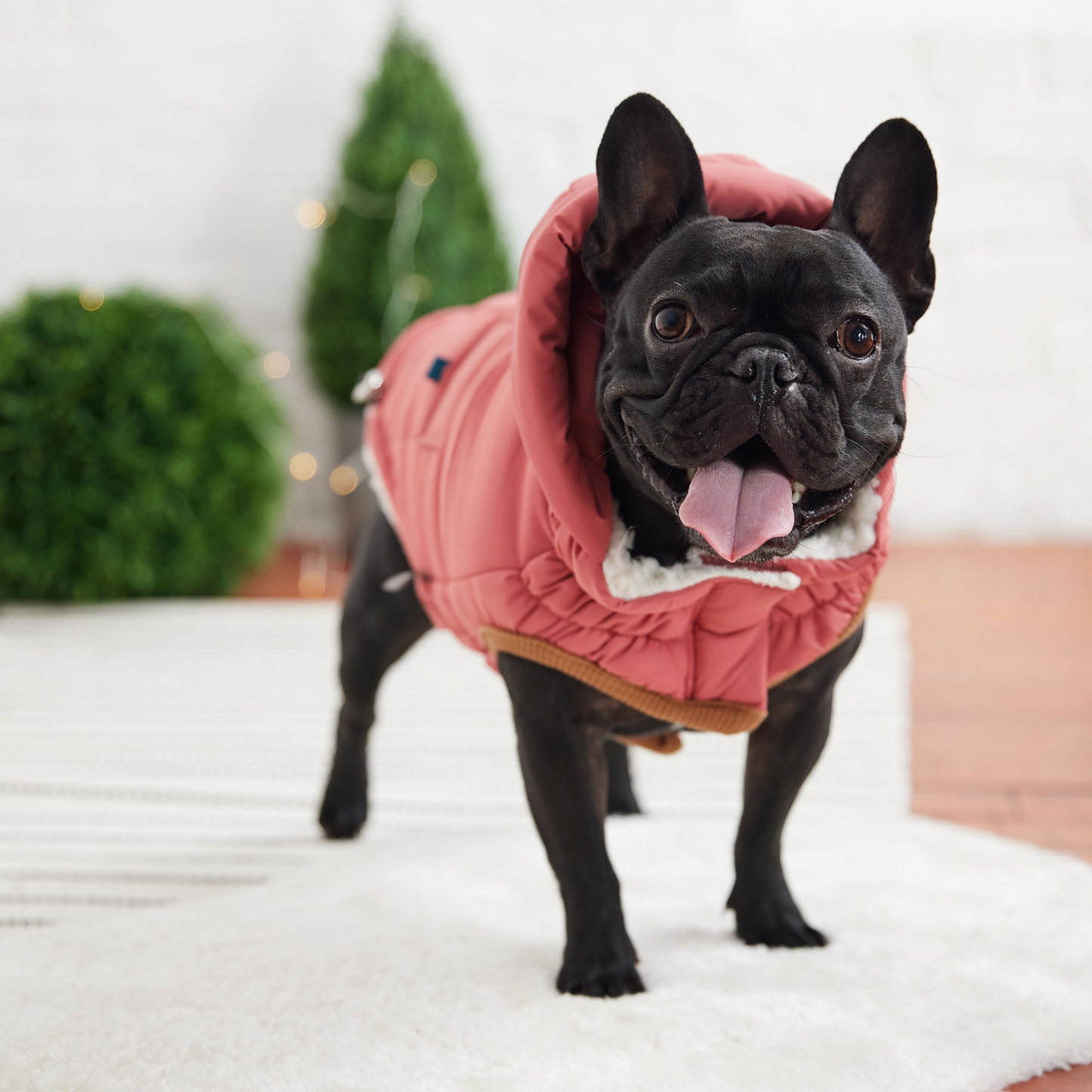 Super Puff Parka -PINK