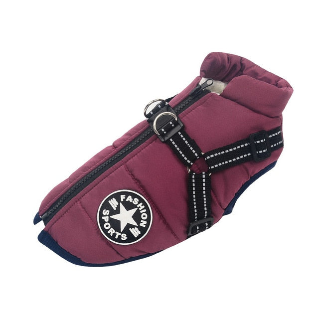 Water Resistant Pet Jacket With Harness