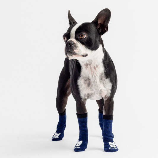 Compression Dog Socks