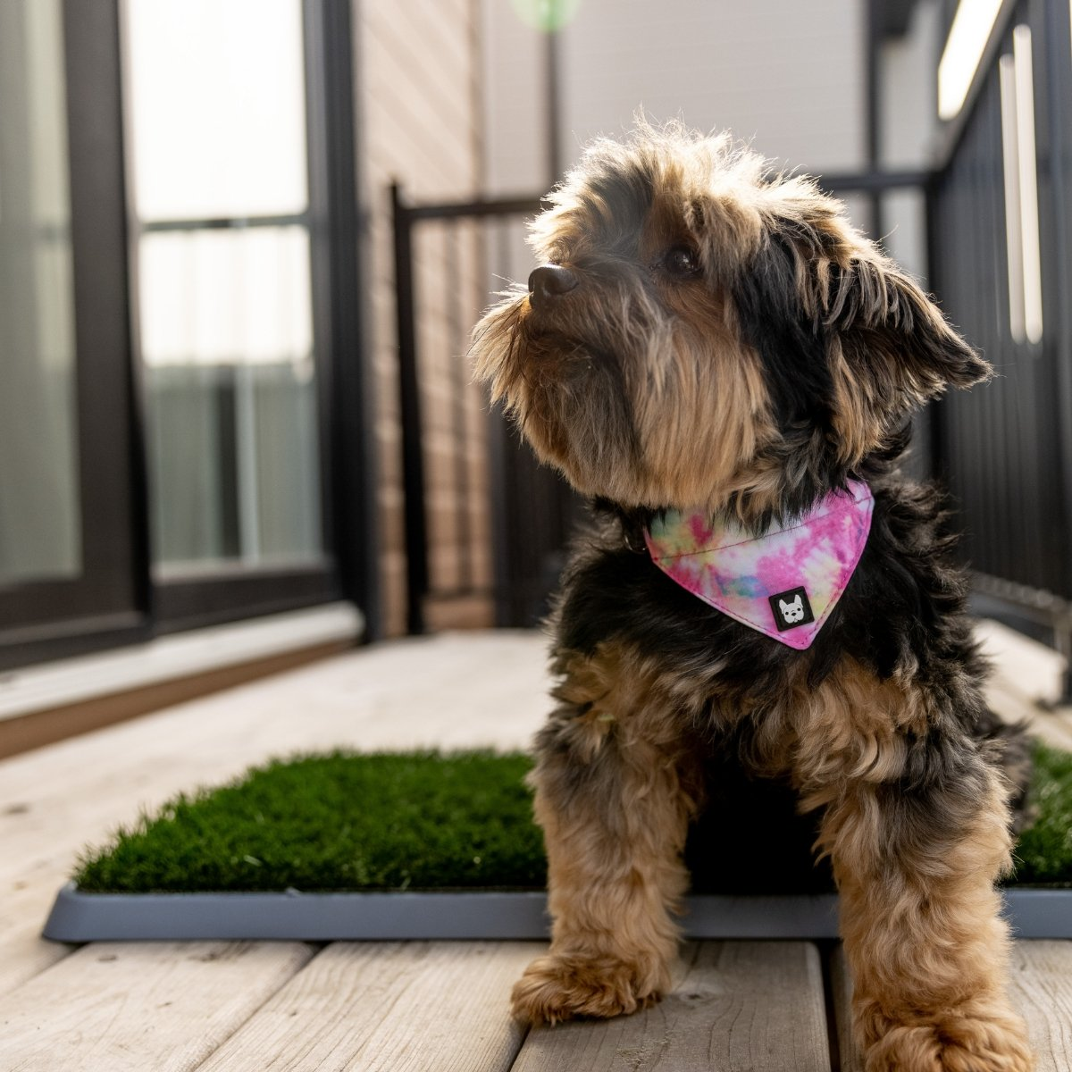 The Potty Patch Reusable Dog Trainer