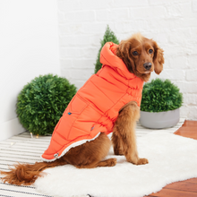 Load image into Gallery viewer, Super Puff Parka - Orange
