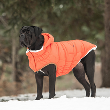 Load image into Gallery viewer, Super Puff Parka - Orange
