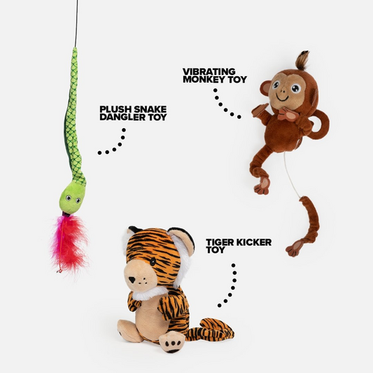 Rainforest Cat Toy Bundle