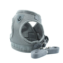Load image into Gallery viewer, [Premium Quality Unique Pet Products Online]-Max and Lilly
