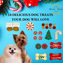 Load image into Gallery viewer, Christmas Dog Treats Gift Box
