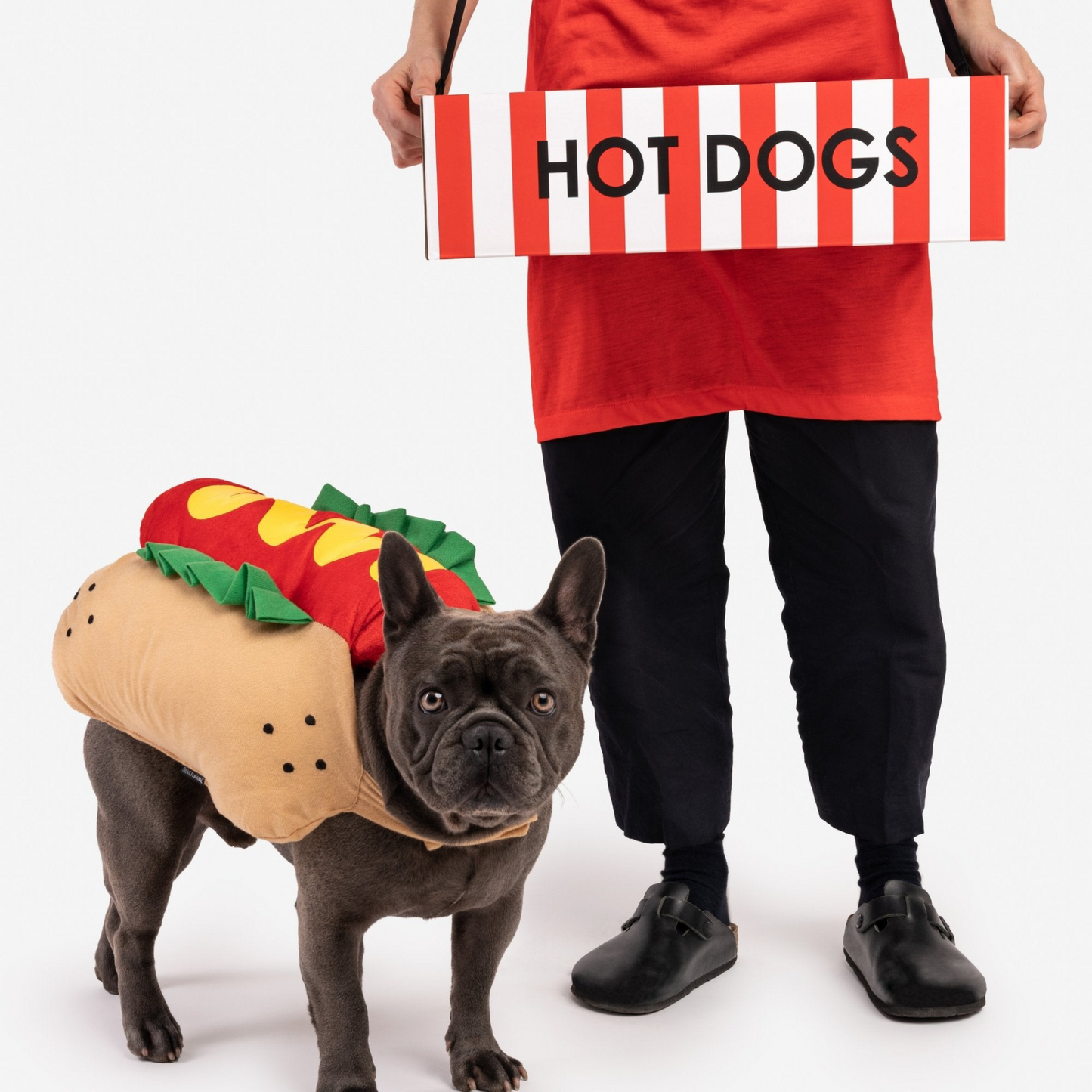 Hotdog Vendor - Matching Human & Dog  Costume