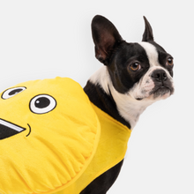 Load image into Gallery viewer, Happy Face Dog Costume
