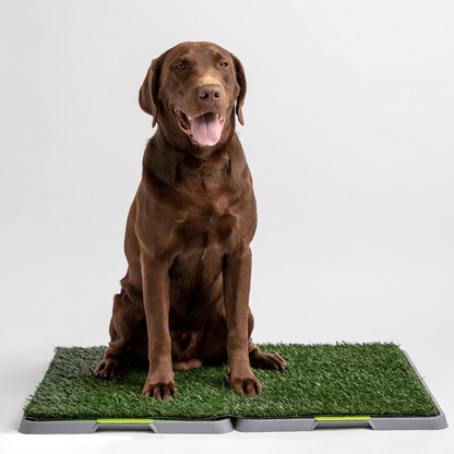 The Potty Patch Reusable Dog Trainer