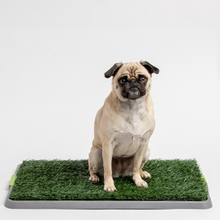 Load image into Gallery viewer, The Potty Patch Reusable Dog Trainer
