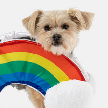 Load image into Gallery viewer, Rainbow Dog Costume
