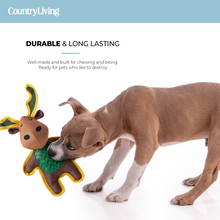 Load image into Gallery viewer, Rabbit &amp; Moose Dog Toy
