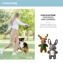Load image into Gallery viewer, Rabbit &amp; Moose Dog Toy
