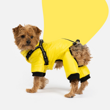 Load image into Gallery viewer, Full Body Dog Snowsuit - Yellow
