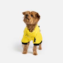 Load image into Gallery viewer, Full Body Dog Snowsuit - Yellow
