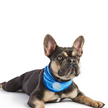 Load image into Gallery viewer, Cooling Pet Bandana

