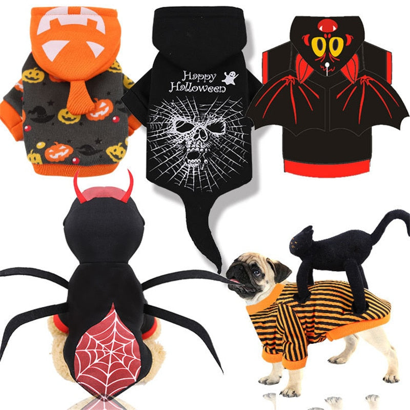 [Premium Quality Unique Pet Products Online]-Max and Lilly