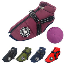 Load image into Gallery viewer, [Premium Quality Unique Pet Products Online]-Max and Lilly
