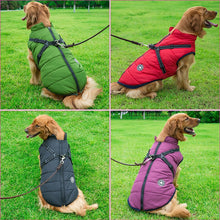 Load image into Gallery viewer, [Premium Quality Unique Pet Products Online]-Max and Lilly
