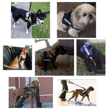 Load image into Gallery viewer, [Premium Quality Unique Pet Products Online]-Max and Lilly
