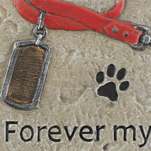 Load image into Gallery viewer, Pet Memorial Stepping Stone - Forever My Best Friend
