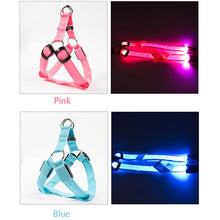 Load image into Gallery viewer, [Premium Quality Unique Pet Products Online]-Max and Lilly
