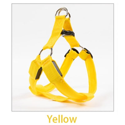 [Premium Quality Unique Pet Products Online]-Max and Lilly