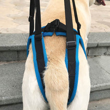 Load image into Gallery viewer, [Premium Quality Unique Pet Products Online]-Max and Lilly
