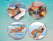 Load image into Gallery viewer, [Premium Quality Unique Pet Products Online]-Max and Lilly
