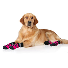 Load image into Gallery viewer, [Premium Quality Unique Pet Products Online]-Max and Lilly
