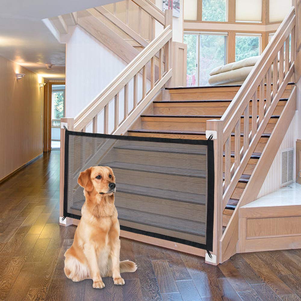 [Premium Quality Unique Pet Products Online]-Max and Lilly